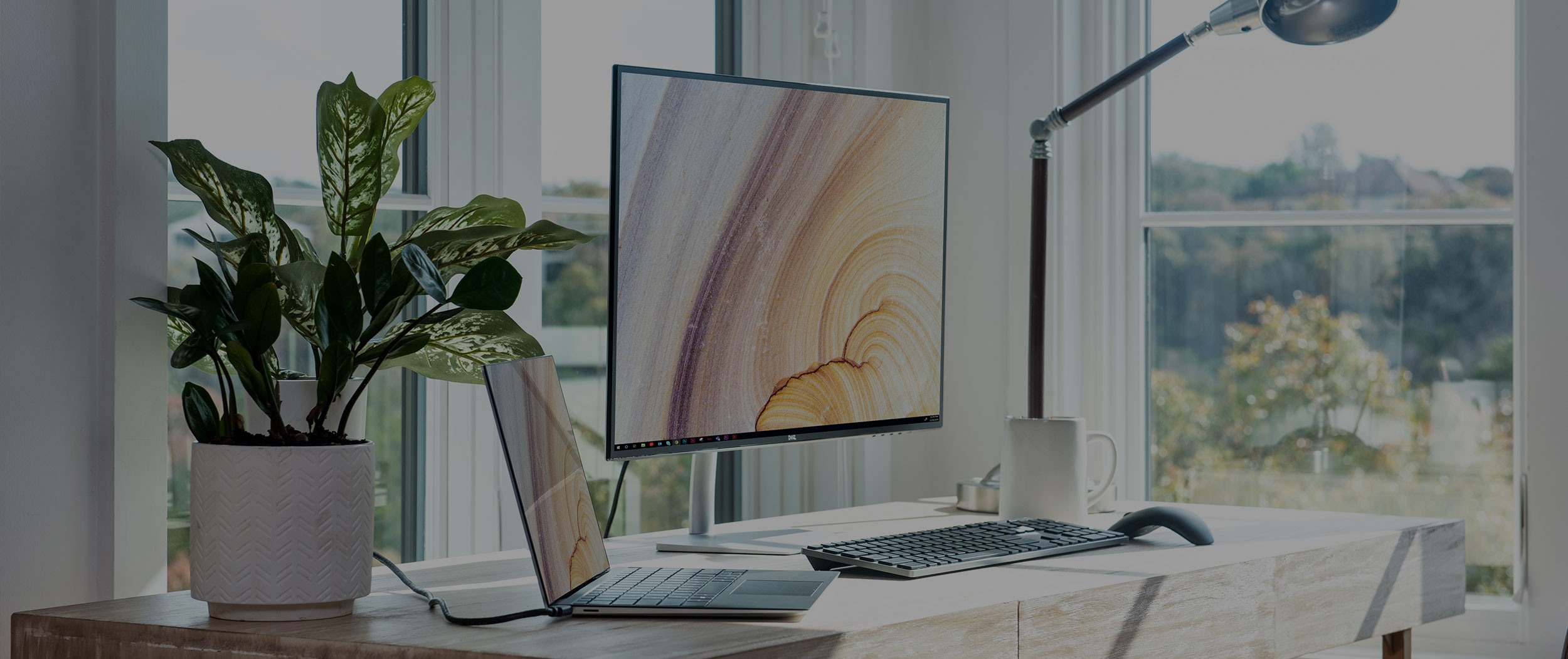 We'll help manage your business