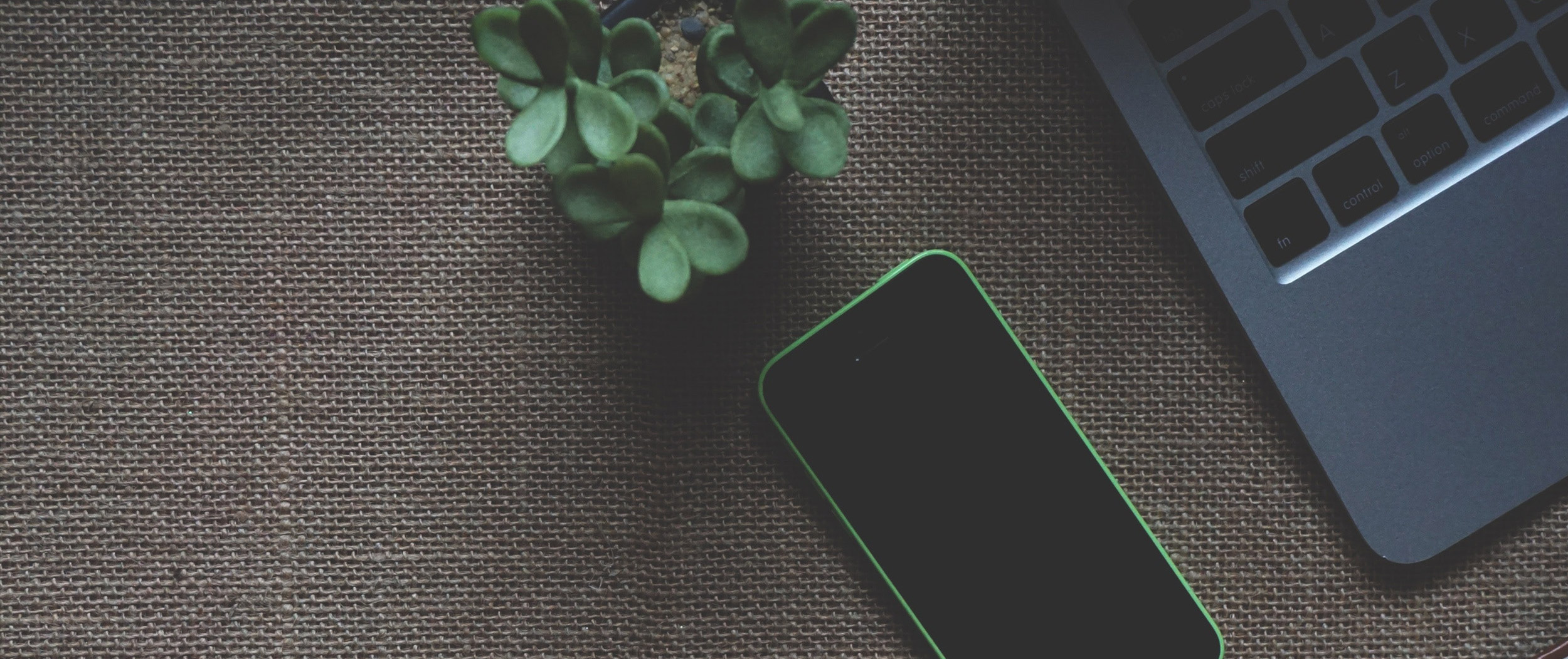We'll help manage your business